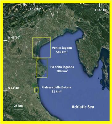 Management and Exploitation of Macroalgal Biomass as a Tool for the Recovery of Transitional Water Systems